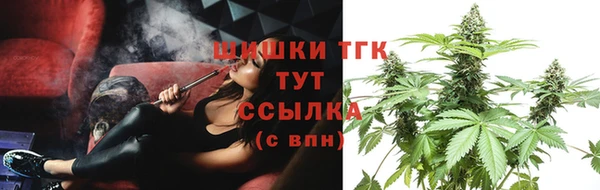 стафф Ладушкин