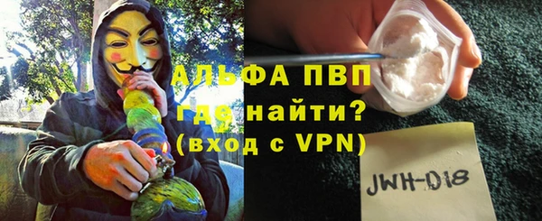 стафф Ладушкин