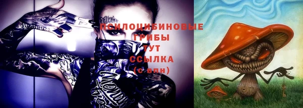 прущий лед Лихославль