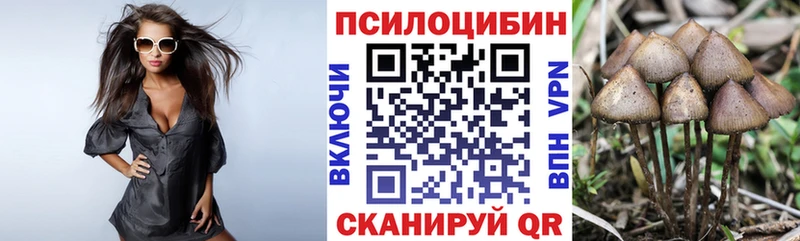 Галлюциногенные грибы мухоморы  Шагонар 