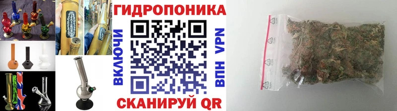 купить наркотик  shop как зайти  Шишки марихуана семена  Шагонар 